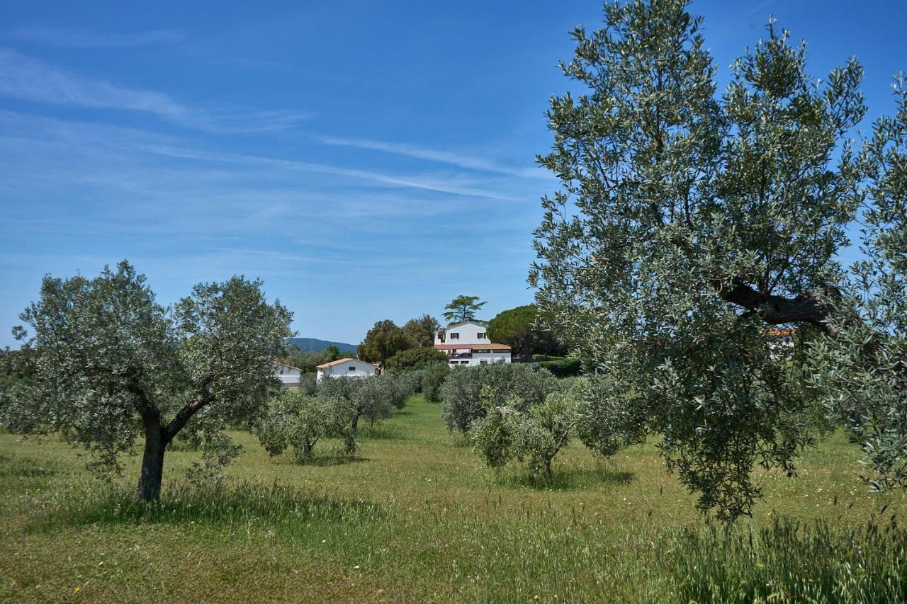 Agriturismo Tesorino มัสซามาริตติมา ภายนอก รูปภาพ