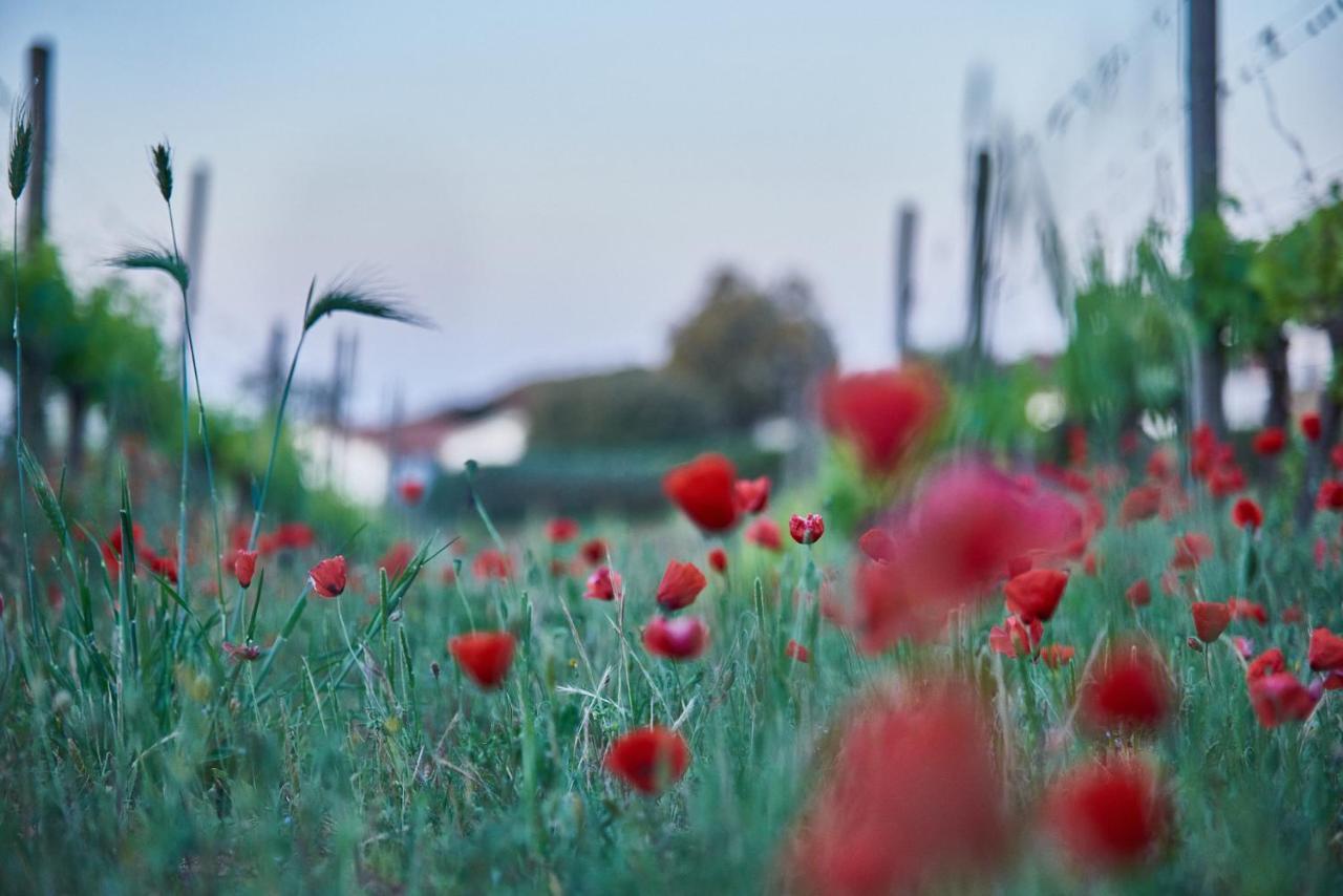 Agriturismo Tesorino มัสซามาริตติมา ภายนอก รูปภาพ